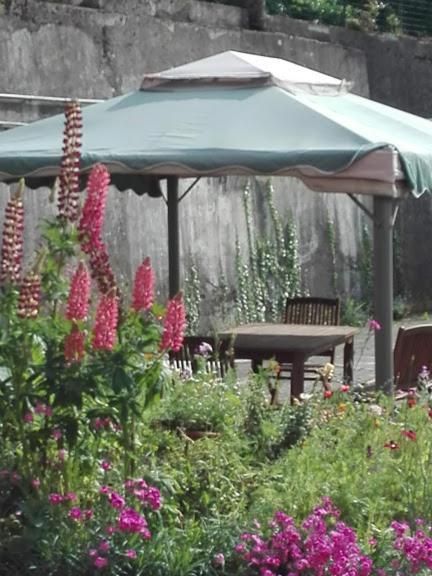La Torretta Bed & Breakfast Torriglia Eksteriør billede